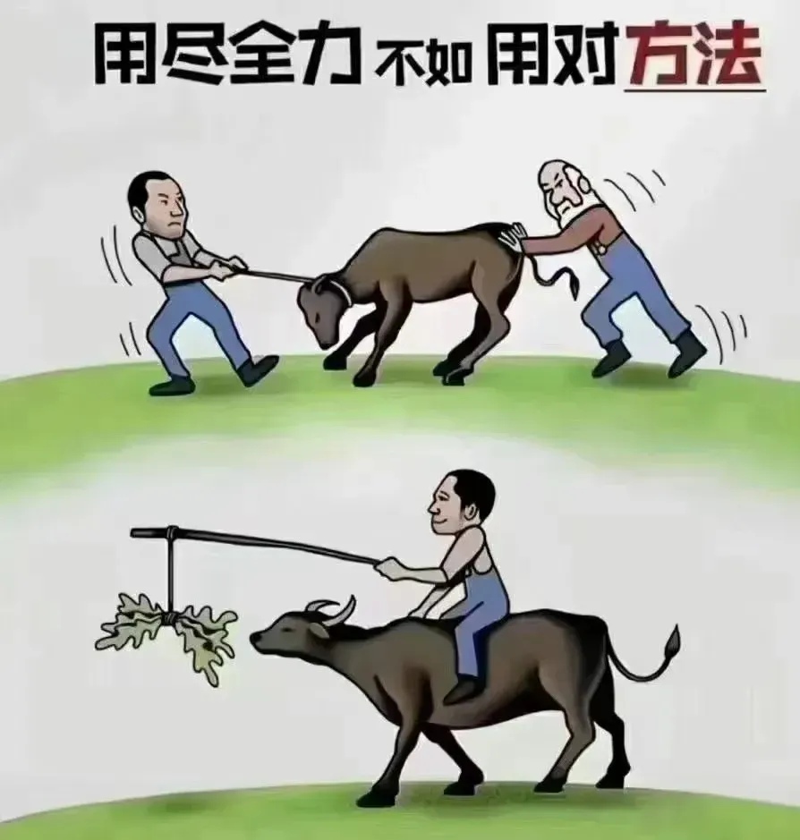 力与技的较量，看谁更胜一筹