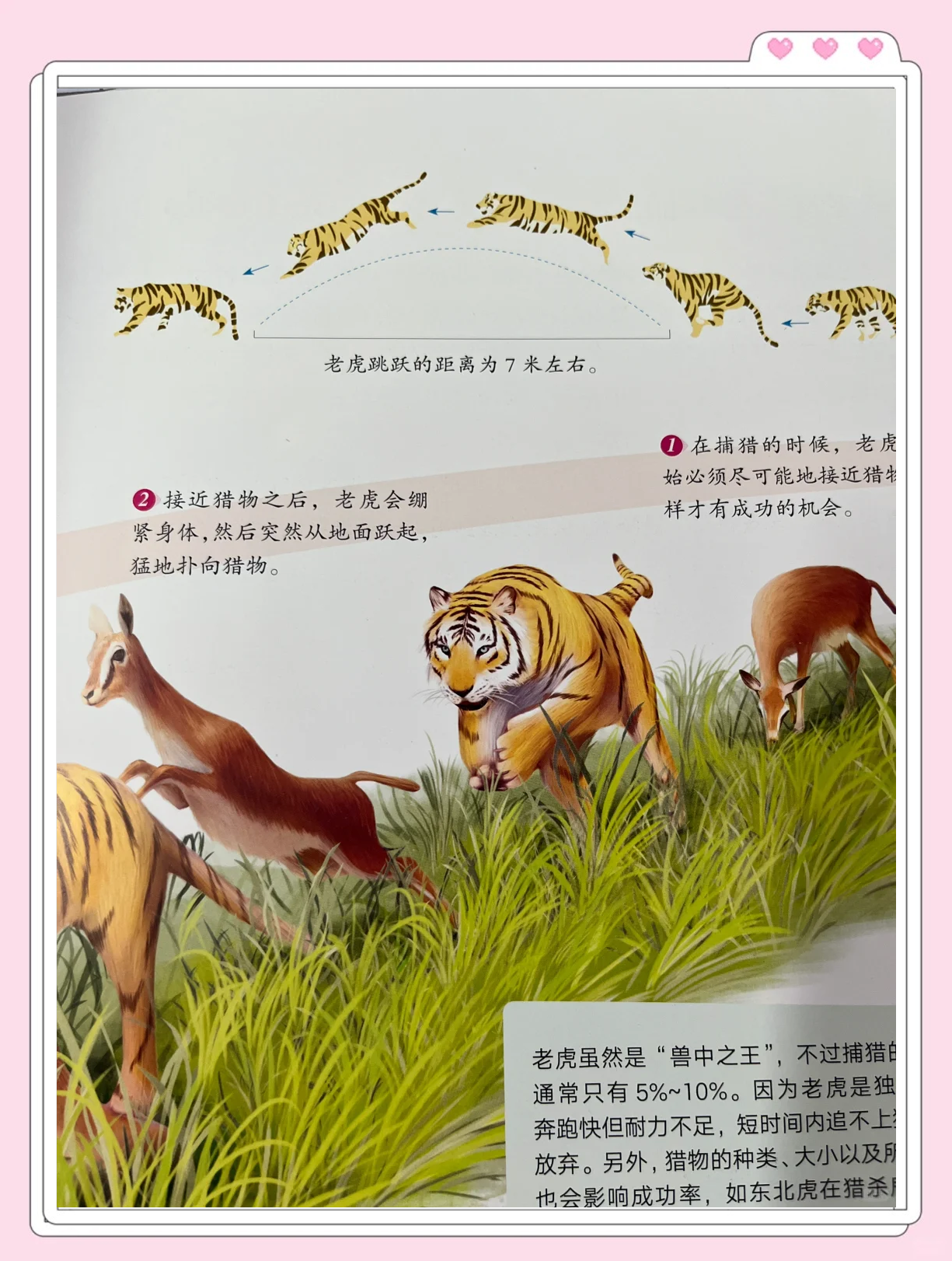 力与技的较量，看谁更胜一筹