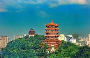 湖北光谷发挥实力，领先对手