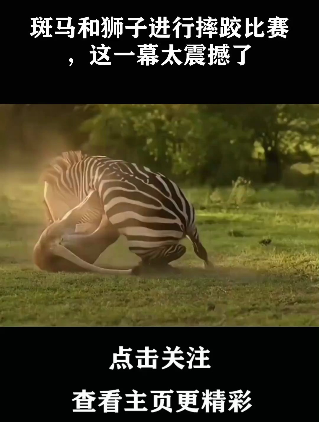 窒息比赛场面震撼回看，精彩一幕接一幕