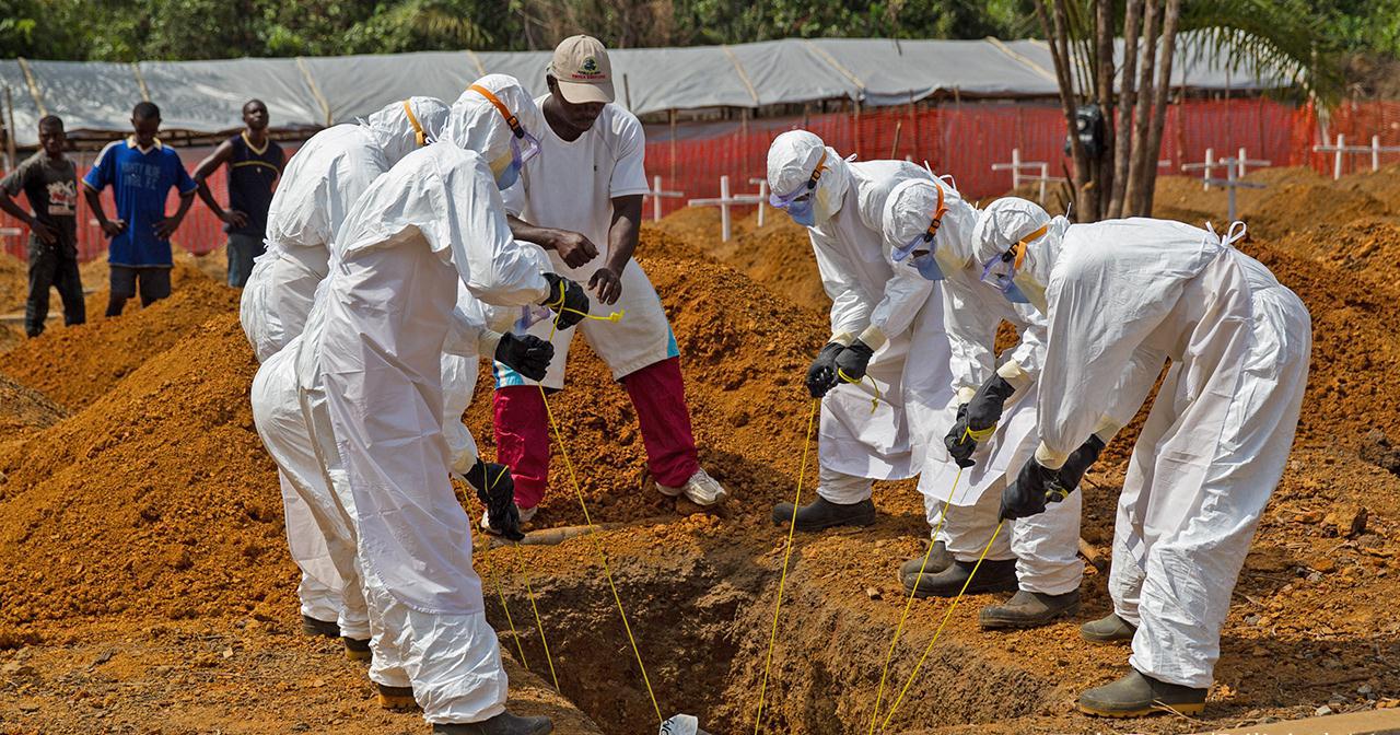 猛龙队队员集体感染病毒，赛程受影响