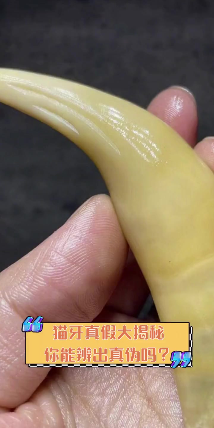 真假难辨！欧洲冠军赛意外揭秘