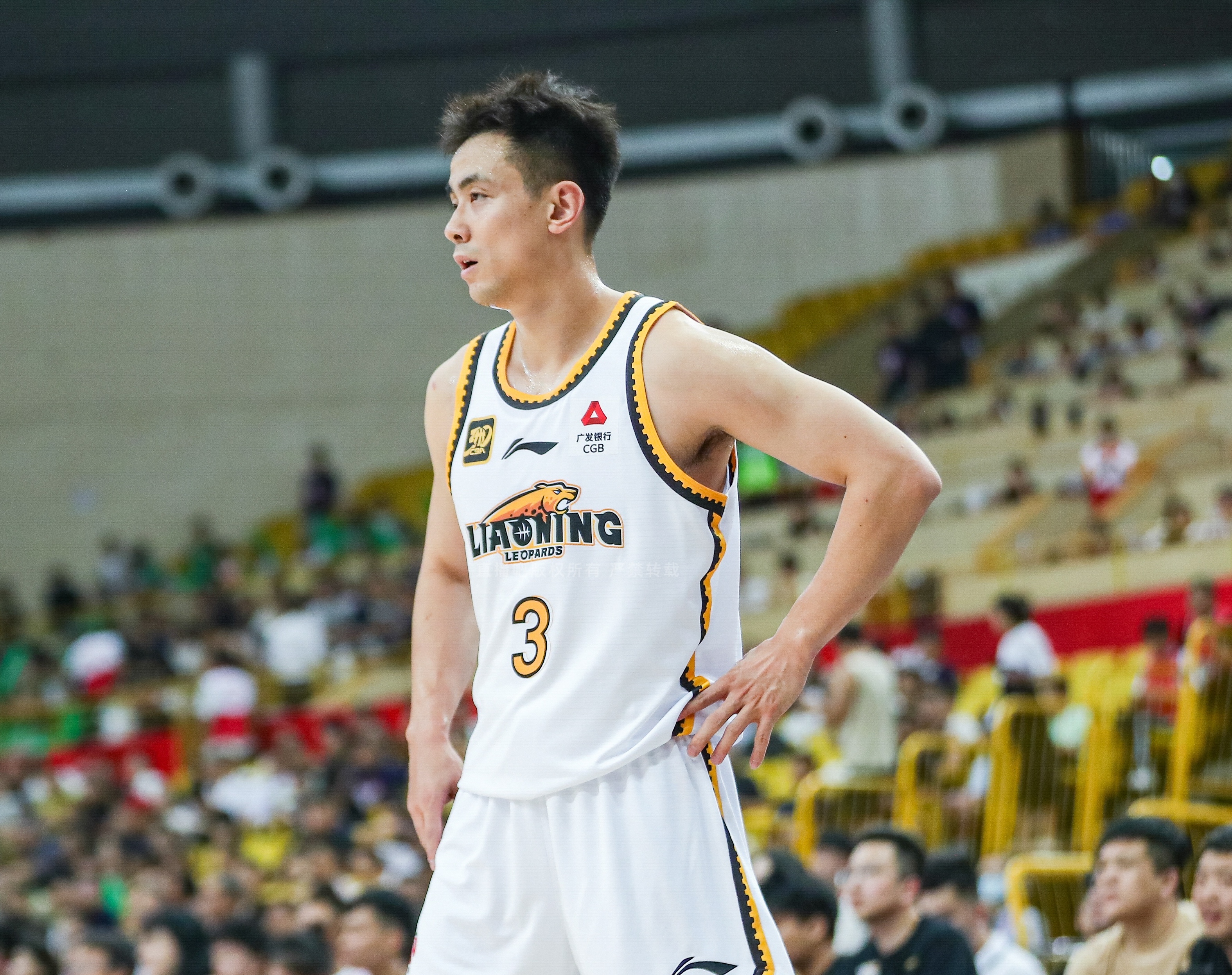 篮网险胜新疆队，赵继伟刷新纪录的简单介绍