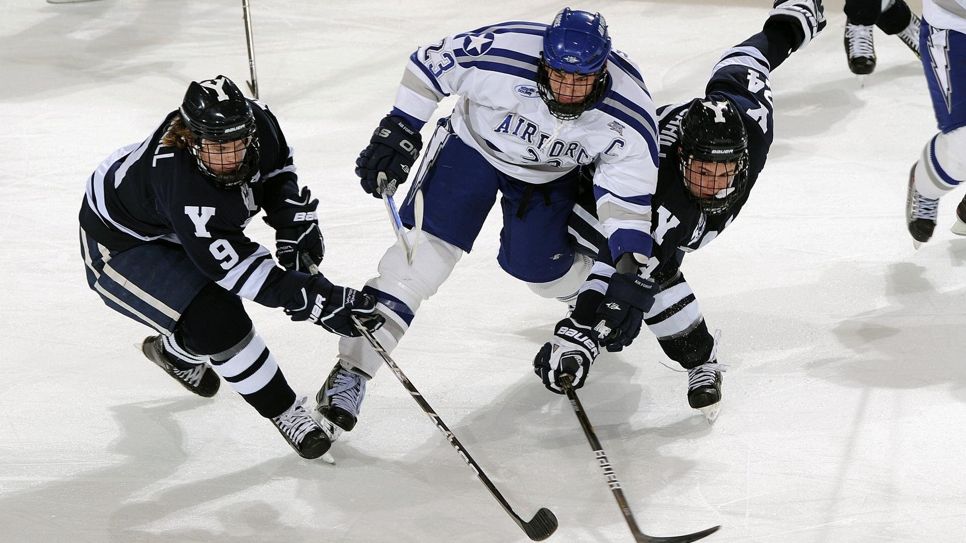 看似毫无关联，实则灵魂共振，当勒沃库森的不败神话遇见浙江队的快打旋风