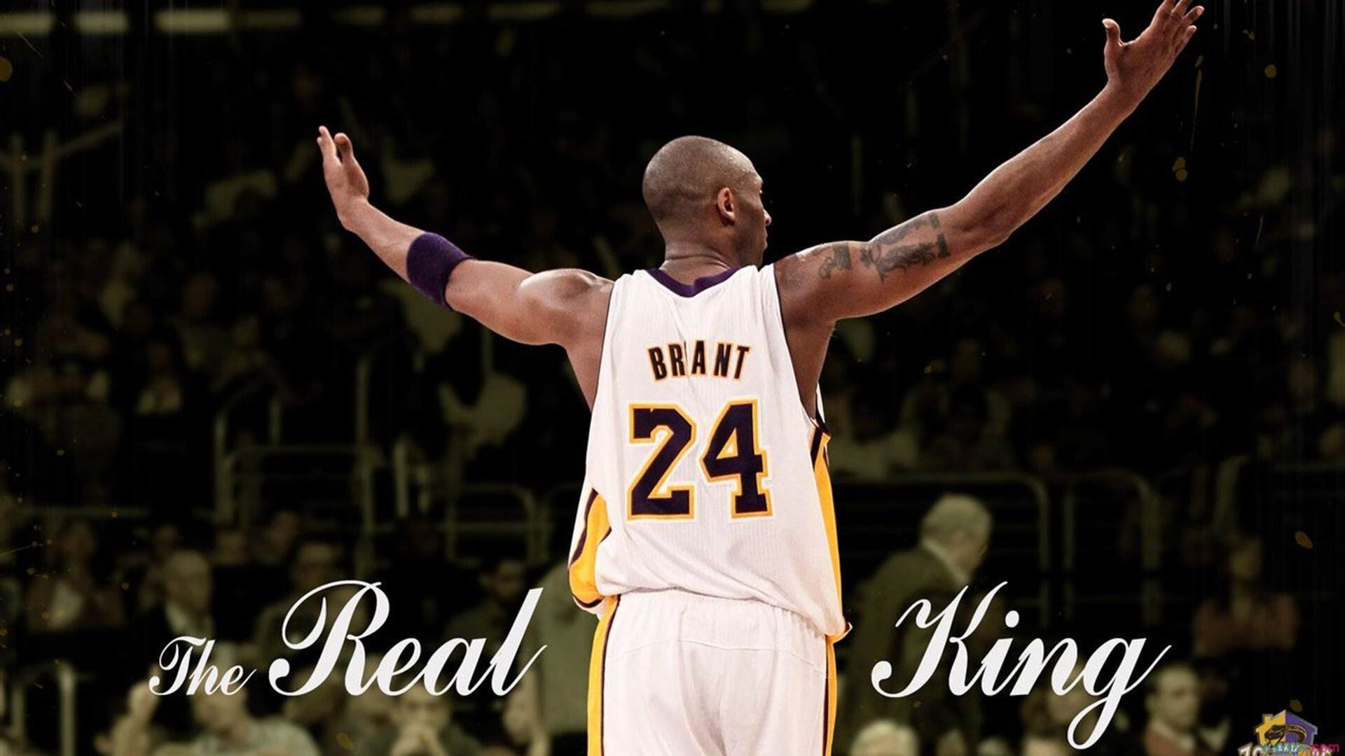 九游体育官方入口-暴君与群像，当苏亚雷斯的战争单节撕裂苏格兰迷雾